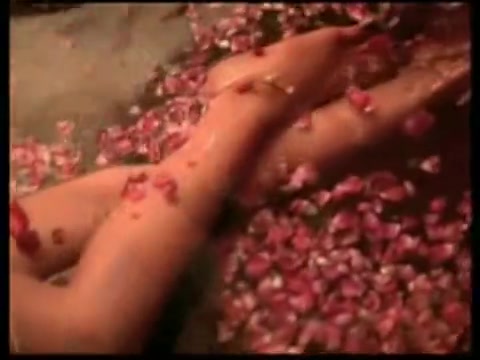 Bipasha Basu Boliwood Actor Porn Vedeo - Free HD indian actress bipasha basu showing tit: Porn Video